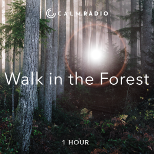 WALK IN THE FOREST